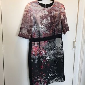 Rickie Freeman for Teri Jon cocktail/career dress